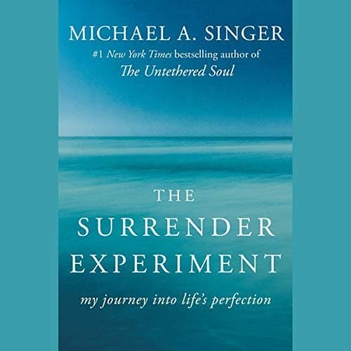 The Surrender Experiment: Discovering Life&#039;s Hidden Perfection