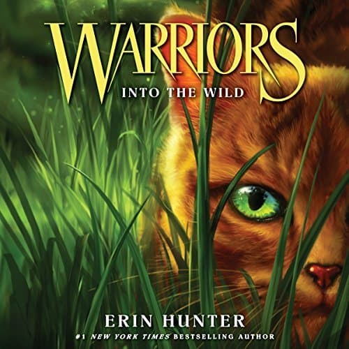 Discover the Wild Adventure of Warriors: Into the Wild