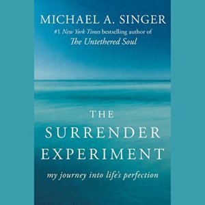 The Surrender Experiment: Discovering Life's Hidden Perfection